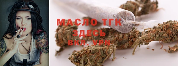 твердый Бородино