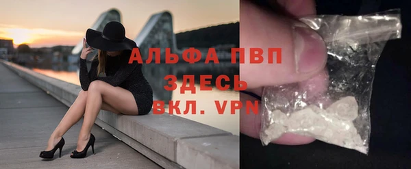 твердый Бородино