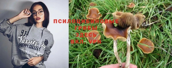 твердый Бородино