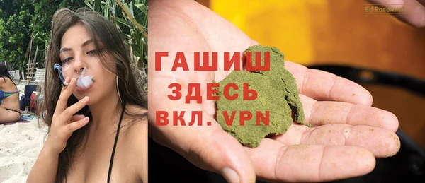 твердый Бородино